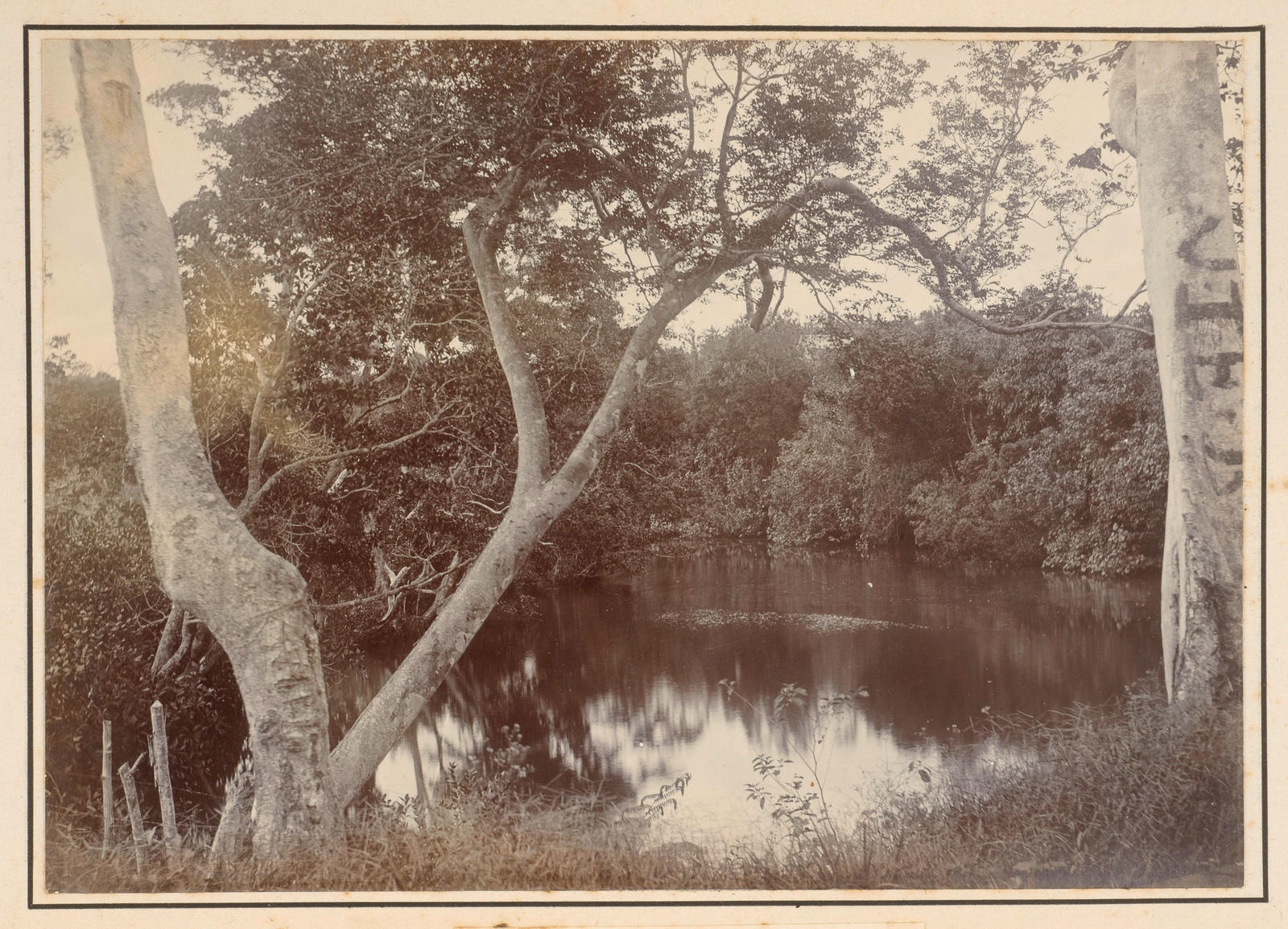 River scene, Suva