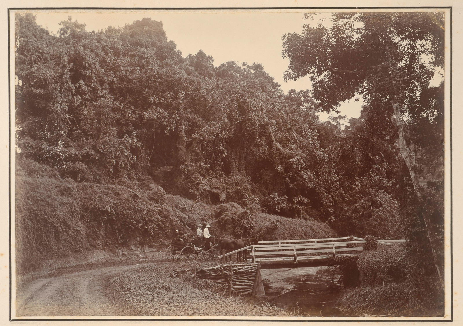 Scene, Suva