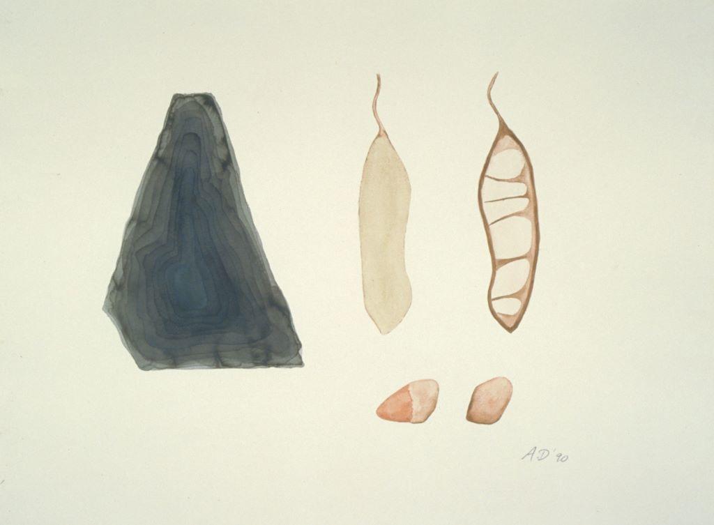 Seeds With Shard