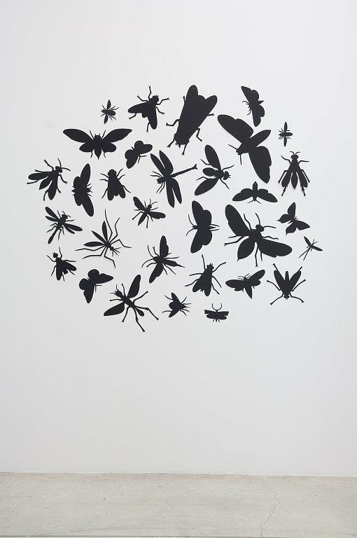 Flyers