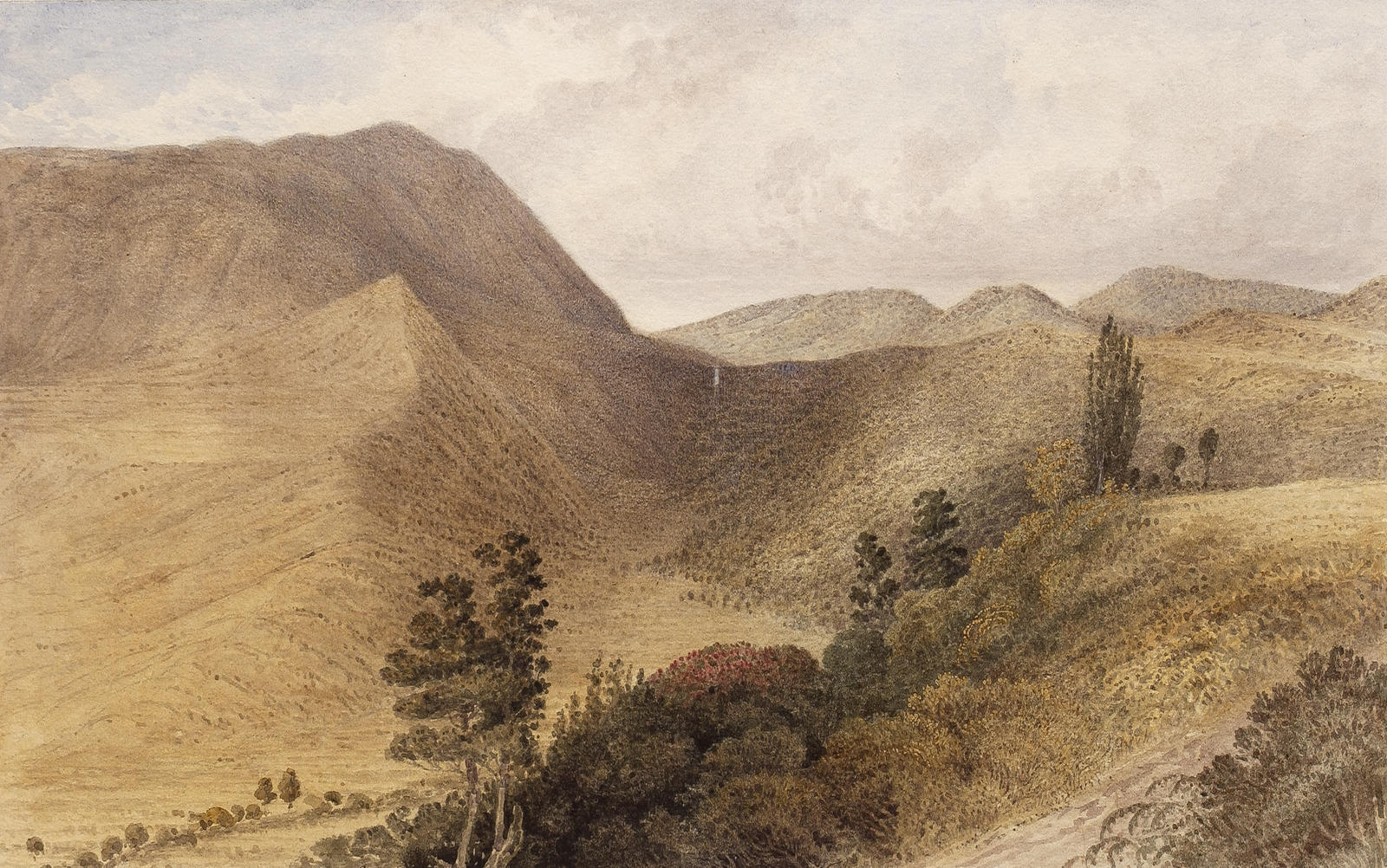 Wairoa Falls and Gully leading to Lake Tarawera