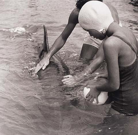 Opo: The Hokianga Dolphin (#14)