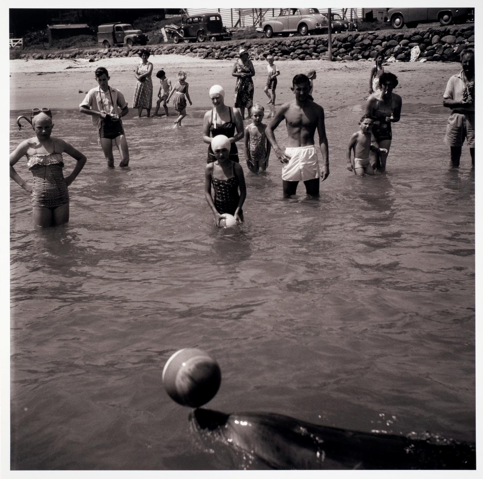 Opo: The Hokianga Dolphin (#15)