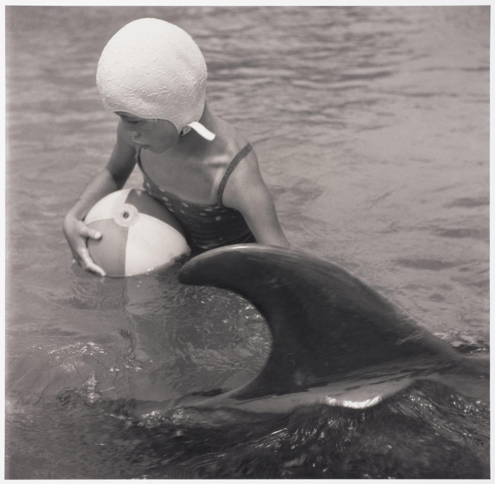 Opo: The Hokianga Dolphin (#16)