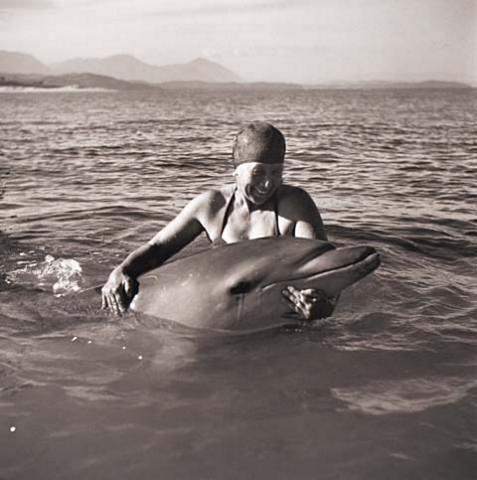 Opo: The Hokianga Dolphin (#23)