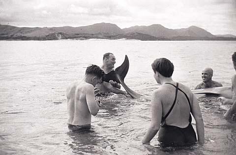 Opo: The Hokianga Dolphin (#24)