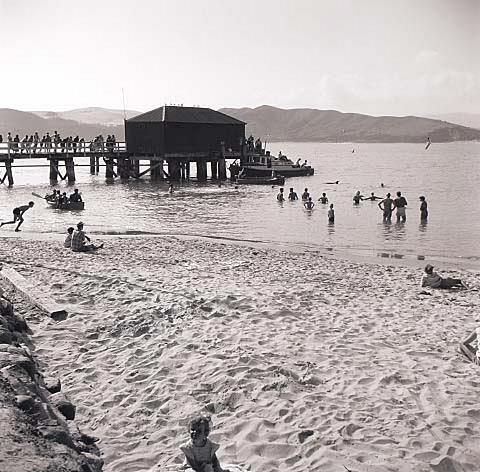 Opo: The Hokianga Dolphin (#38)