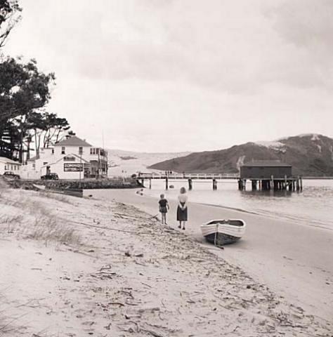 Opo: The Hokianga Dolphin (#49)