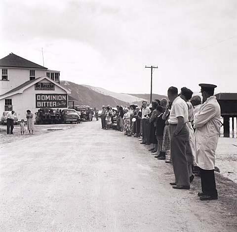 Opo: The Hokianga Dolphin (#52)