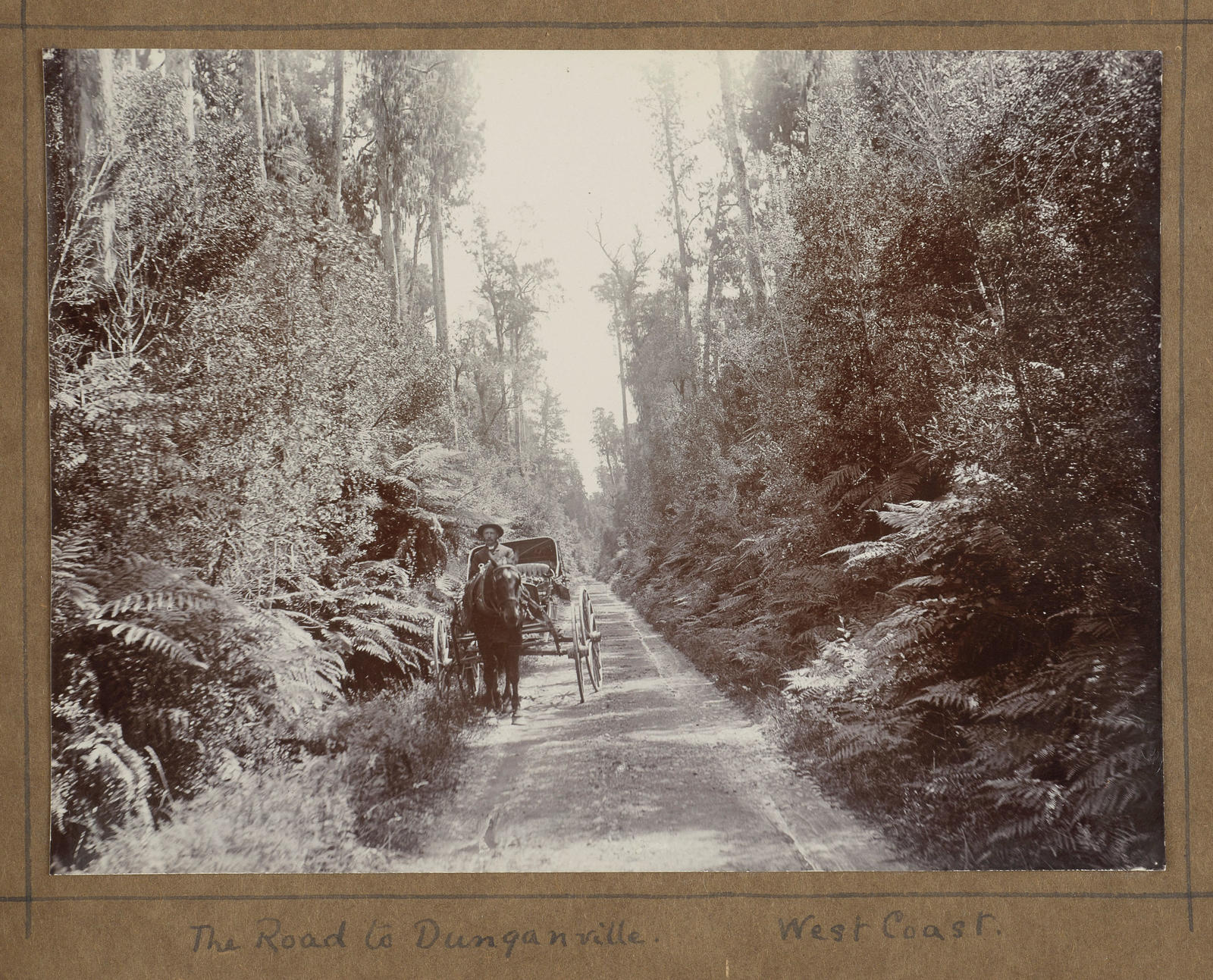 The road to Dunganville, West Coast