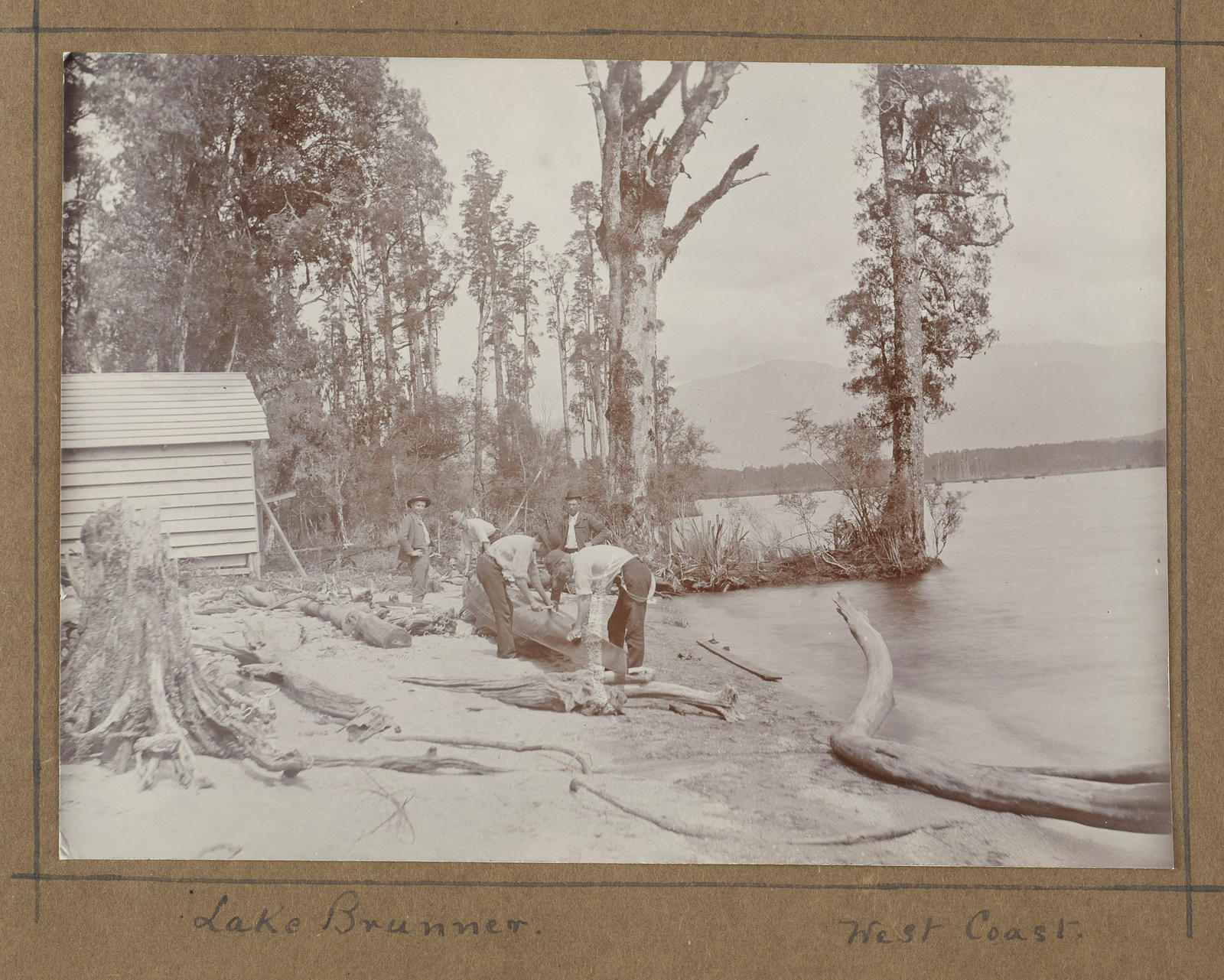 Lake Brunner, West Coast