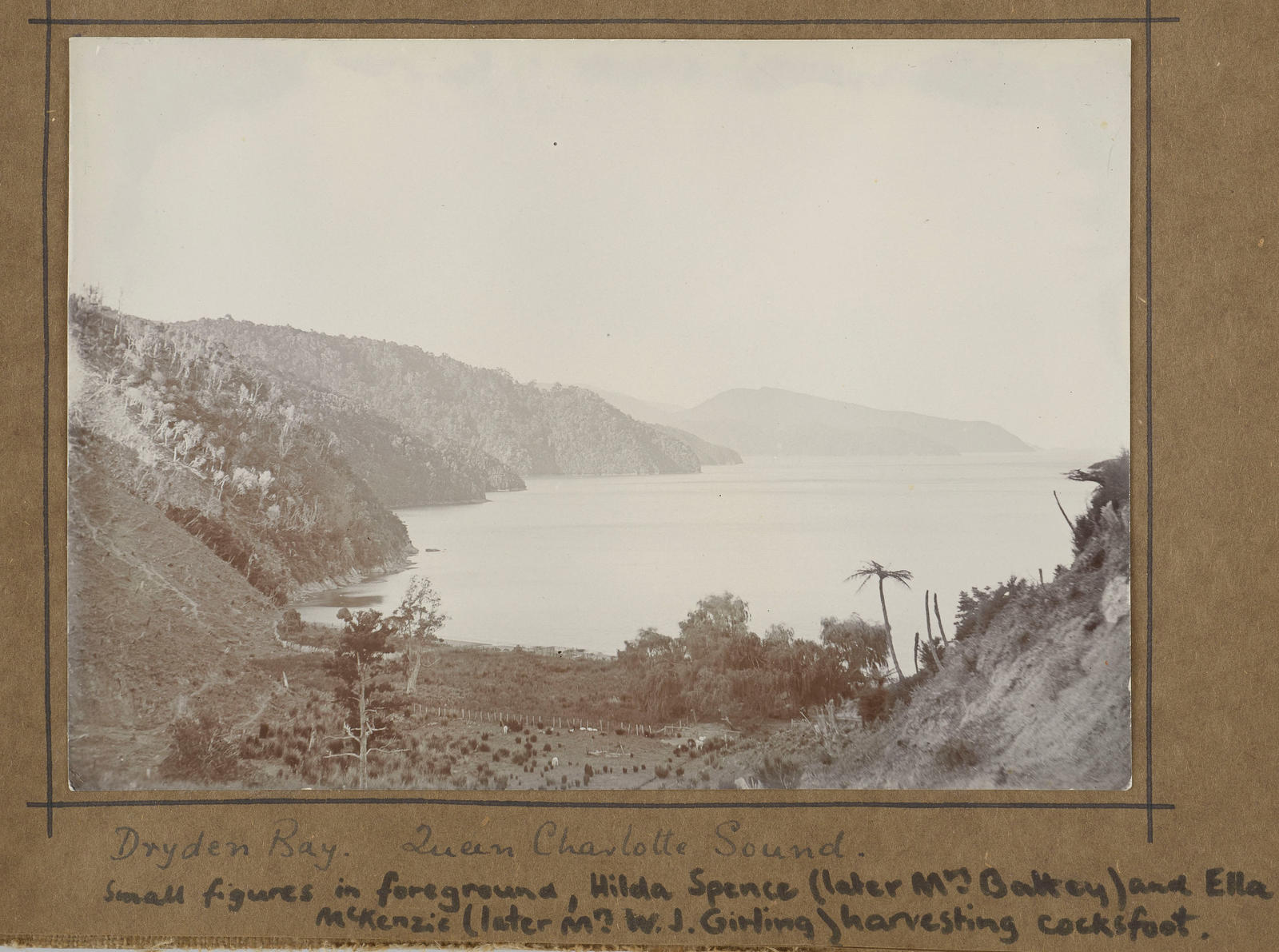 Dryden Bay, Queen Charlotte Sound; small figures in foregound, Hilda Spence (later Mrs Baltey) and Ella McKenzie (later Mrs W J Girling) harvesting cocksfoot
