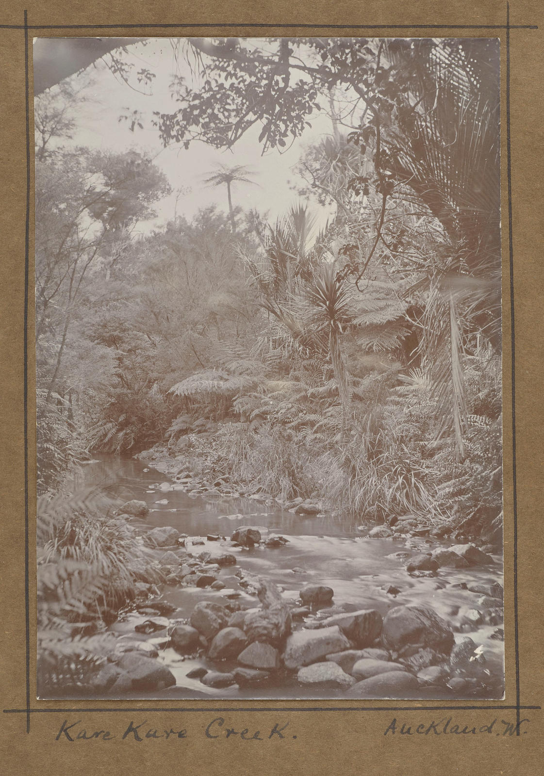 Karekare Creek, West Auckland