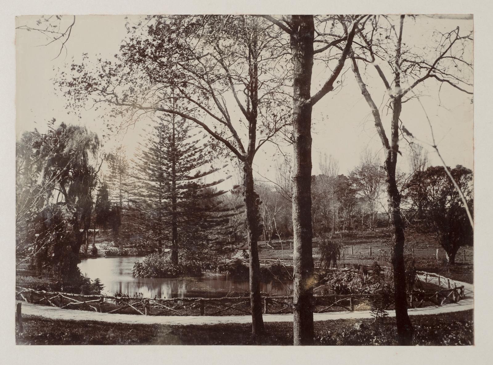 In Auckland Domain