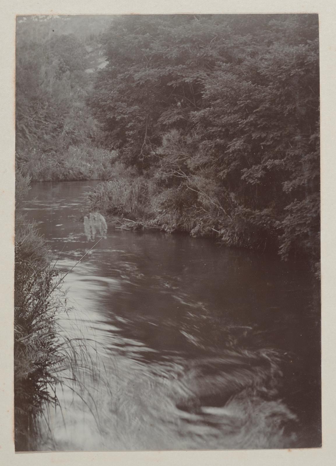 The Waihou (Upper Thames) at Hinuera, near Matamata