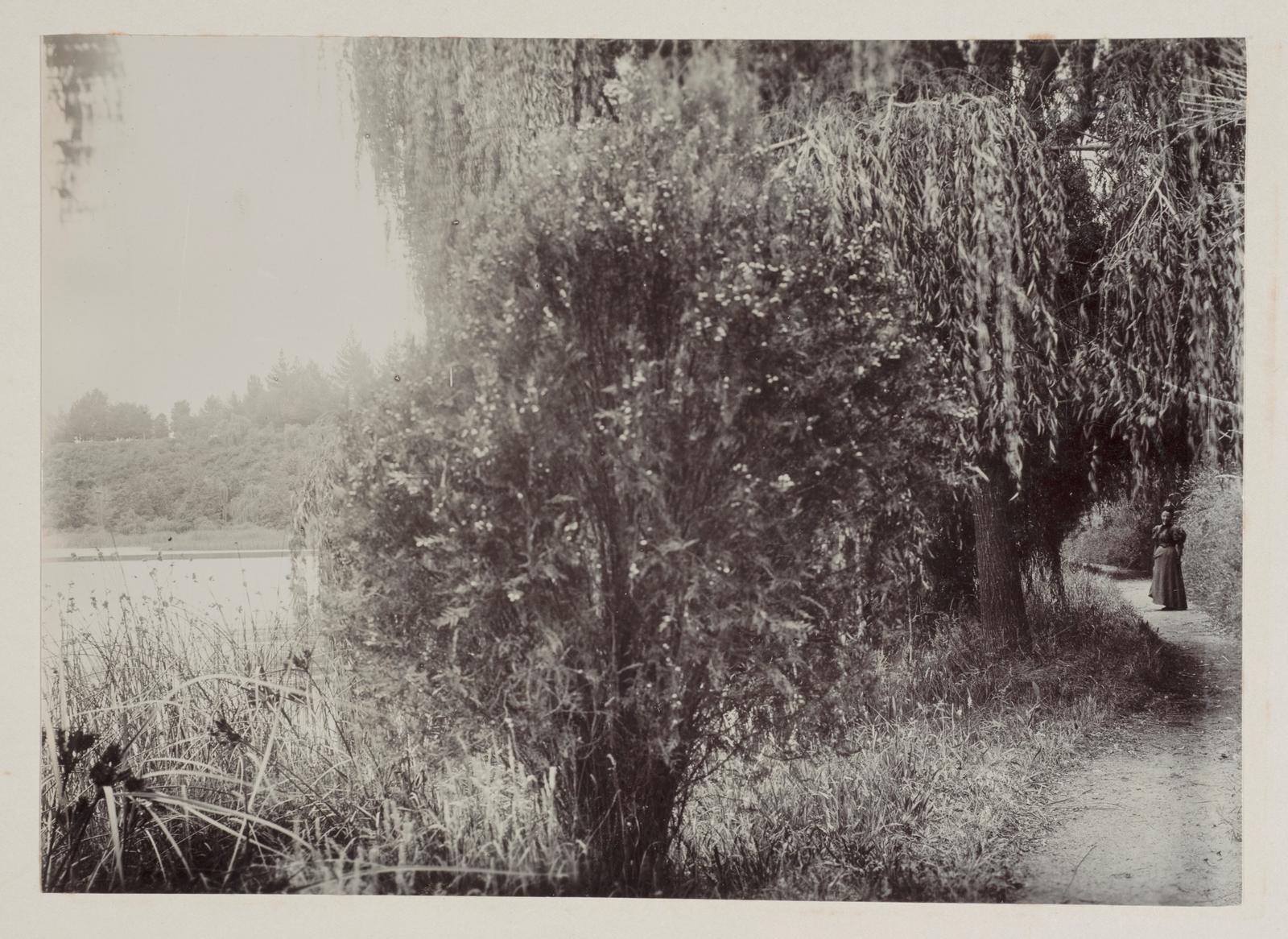 The Lake, Cambridge Domain