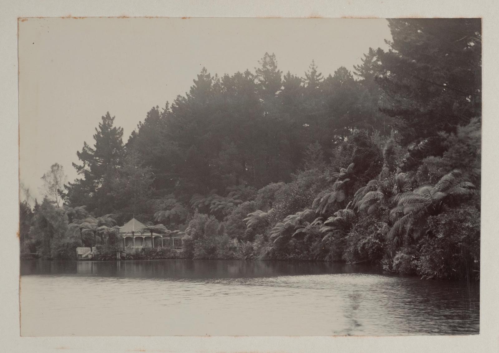In the Recreation Ground, New Plymouth