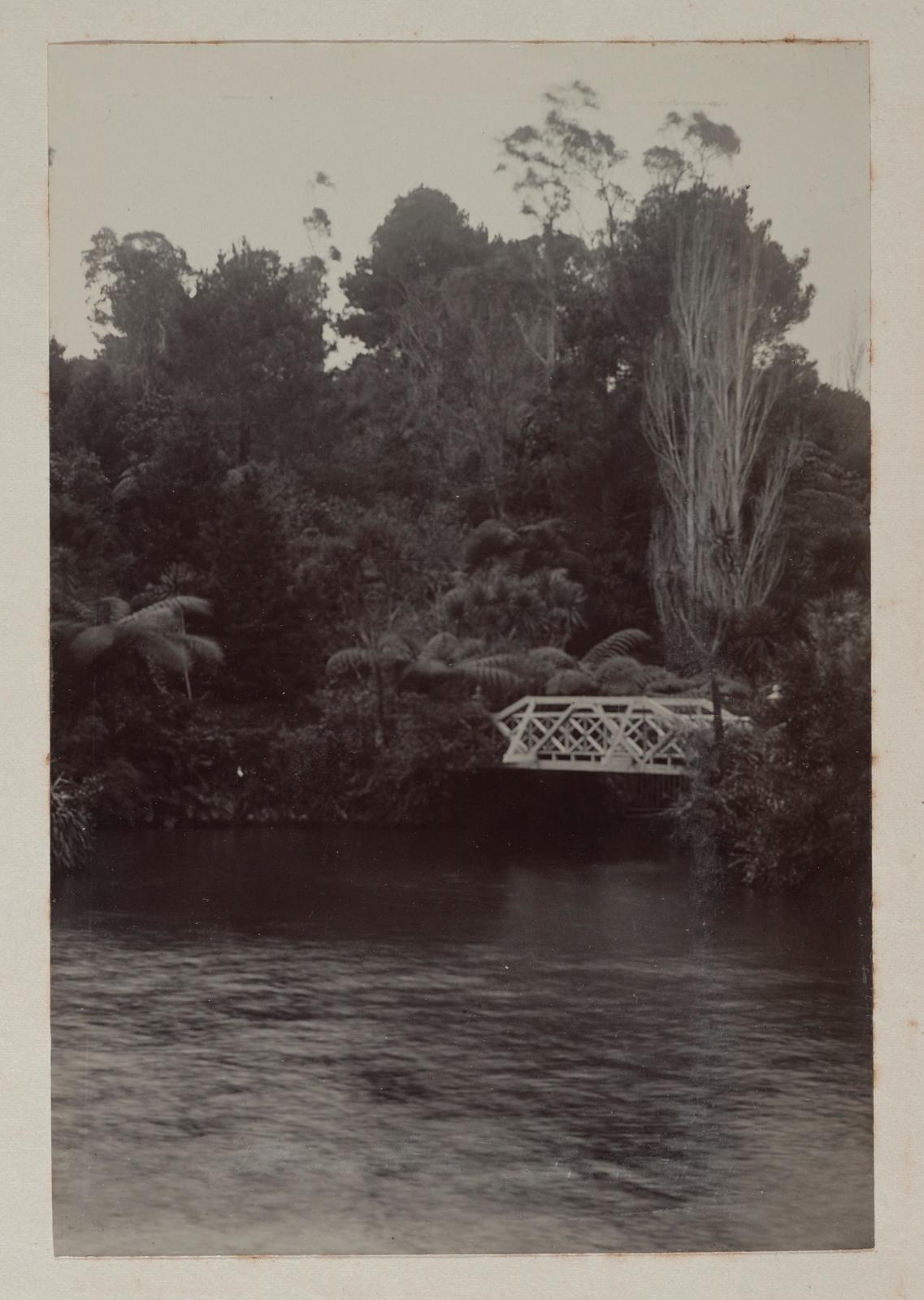 In the Recreation Ground, New Plymouth