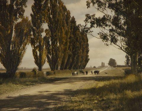 Summer day in Canterbury, near Winchester