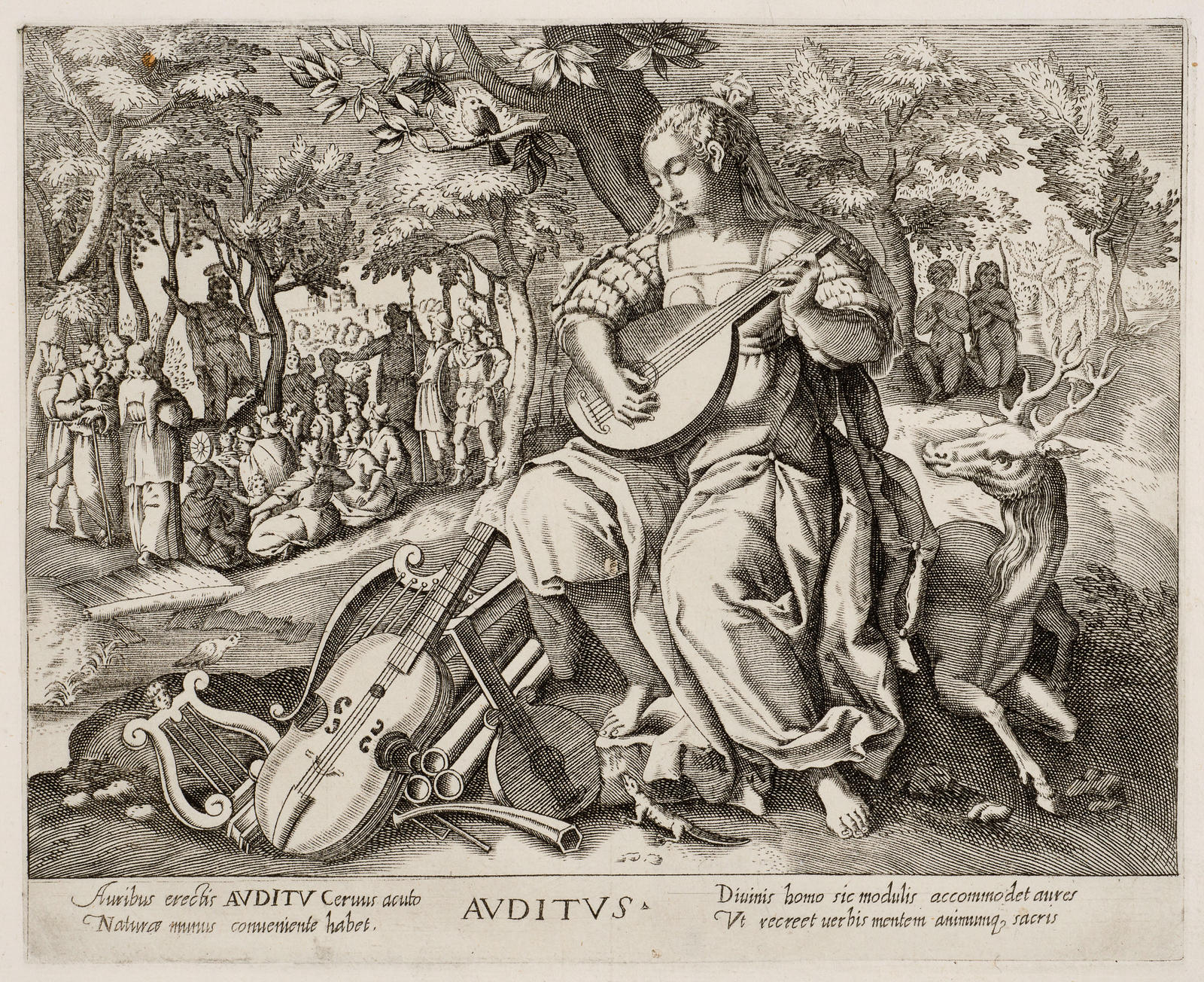 Auditus (hearing)