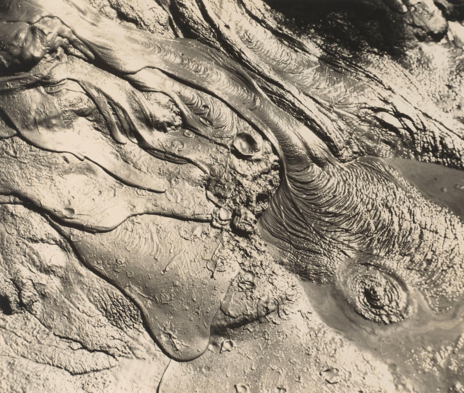 Mud Pools Whakarewarewa