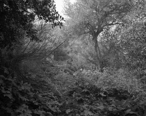 The Abbey of Thelema #1