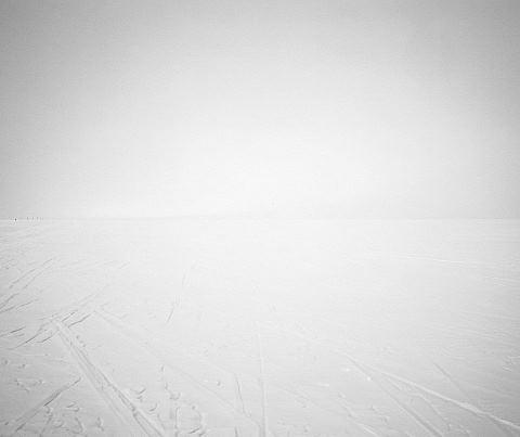 William's Field (under Erebus) number 3