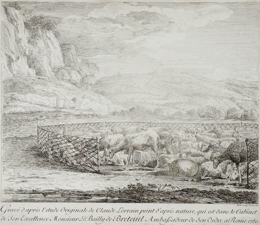 Sheep in a Sheepfold