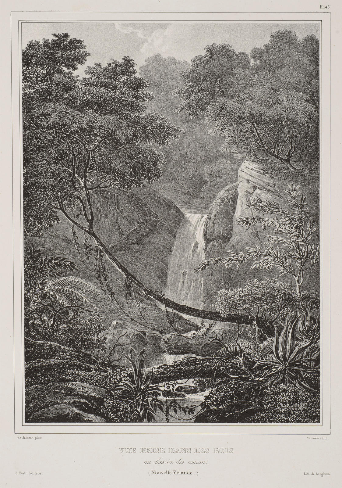 Vue Prise dans les Bois au bassin des courans (Nouvelle Zélande)