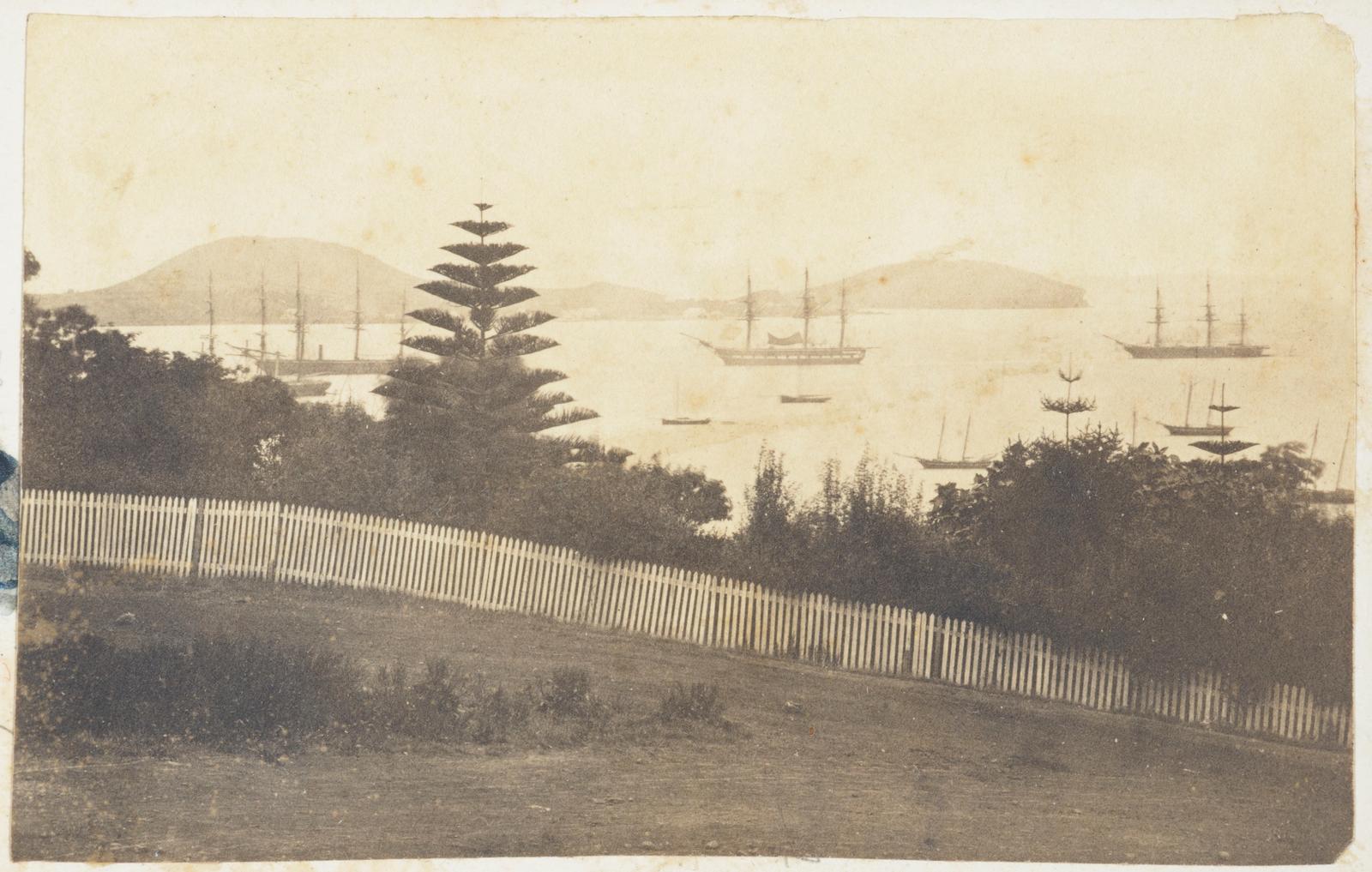 Auckland, North Head
