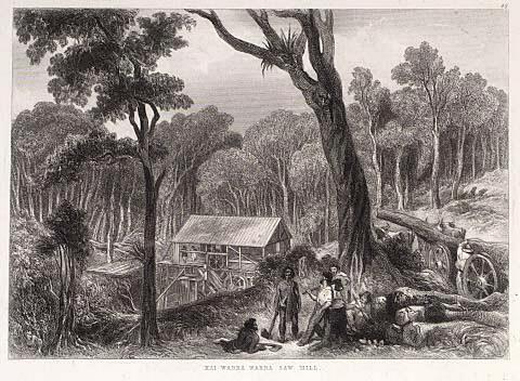 Kai Warra Warra Sawmill