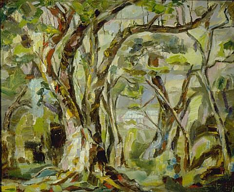 Broadleaf and other trees