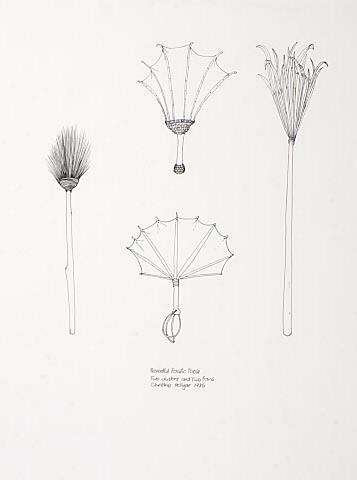 Peaceful Pacific Tools : Two Dusters and Two Fans