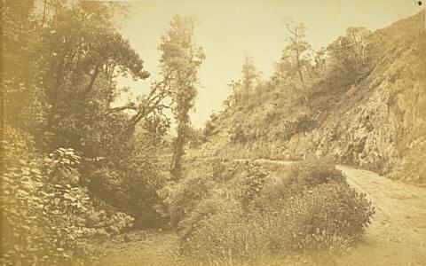 Near Wellington (Belmont Hill Road, Lower Hutt)