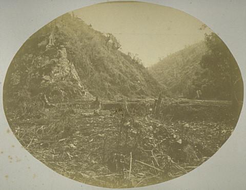 Porirua Road, Ngaio Gorge