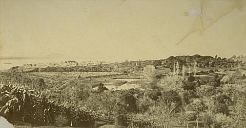 The Domain, Auckland