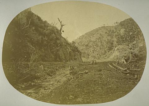 Gorge Near Wellington