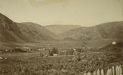 Near Auckland