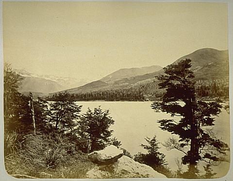 Travers's Station (6)