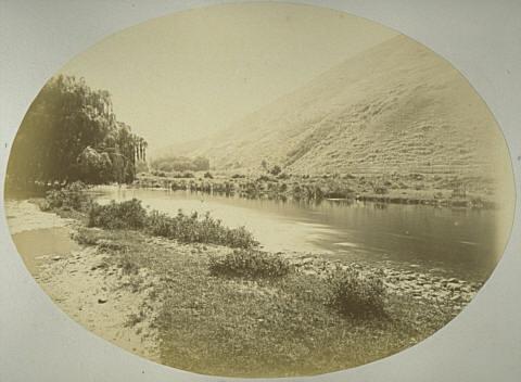 River with Willow Trees