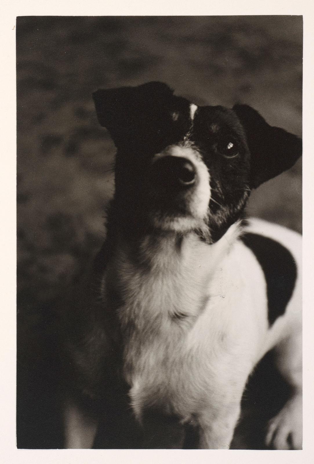 Billy