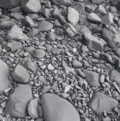 Rock study, Buckleton Bay