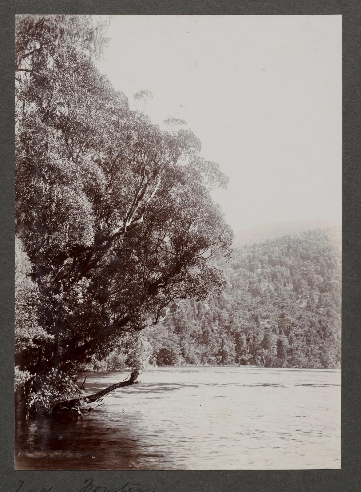 Lake Forster