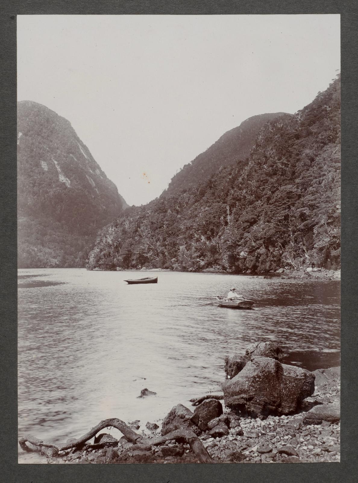 Cormorant Cove