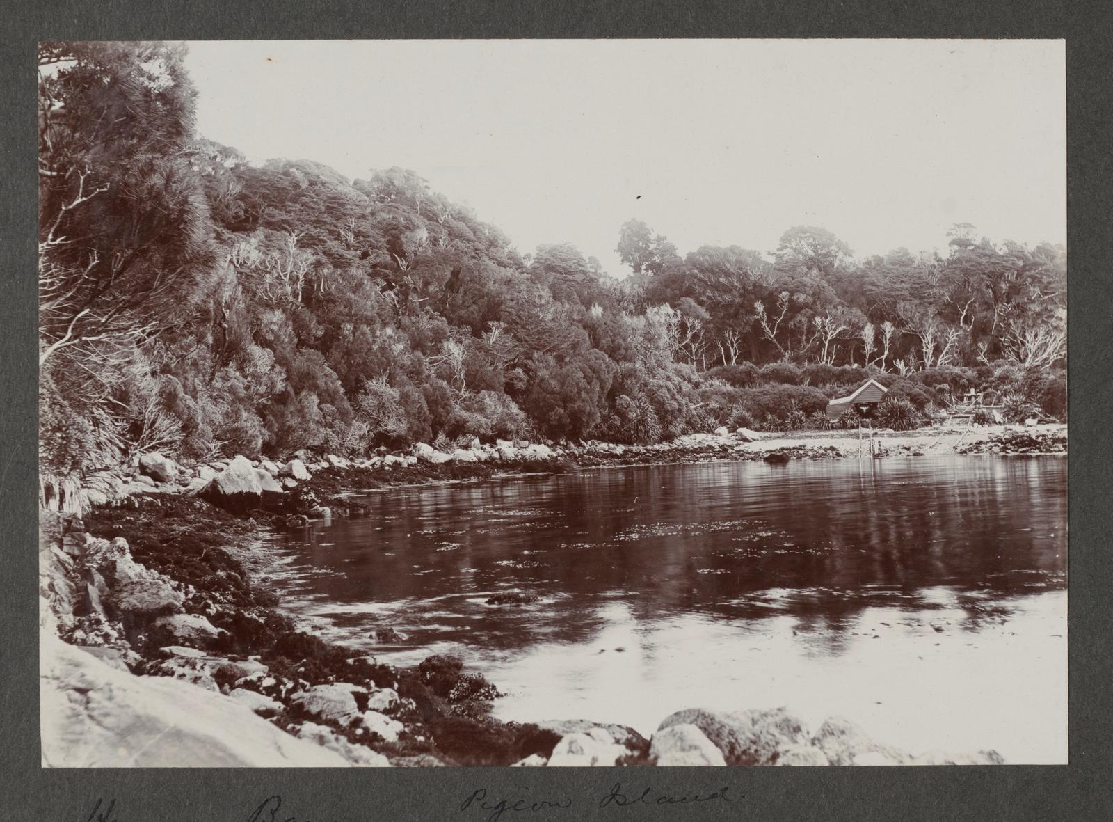 Henry's Bay, Pigeon Island