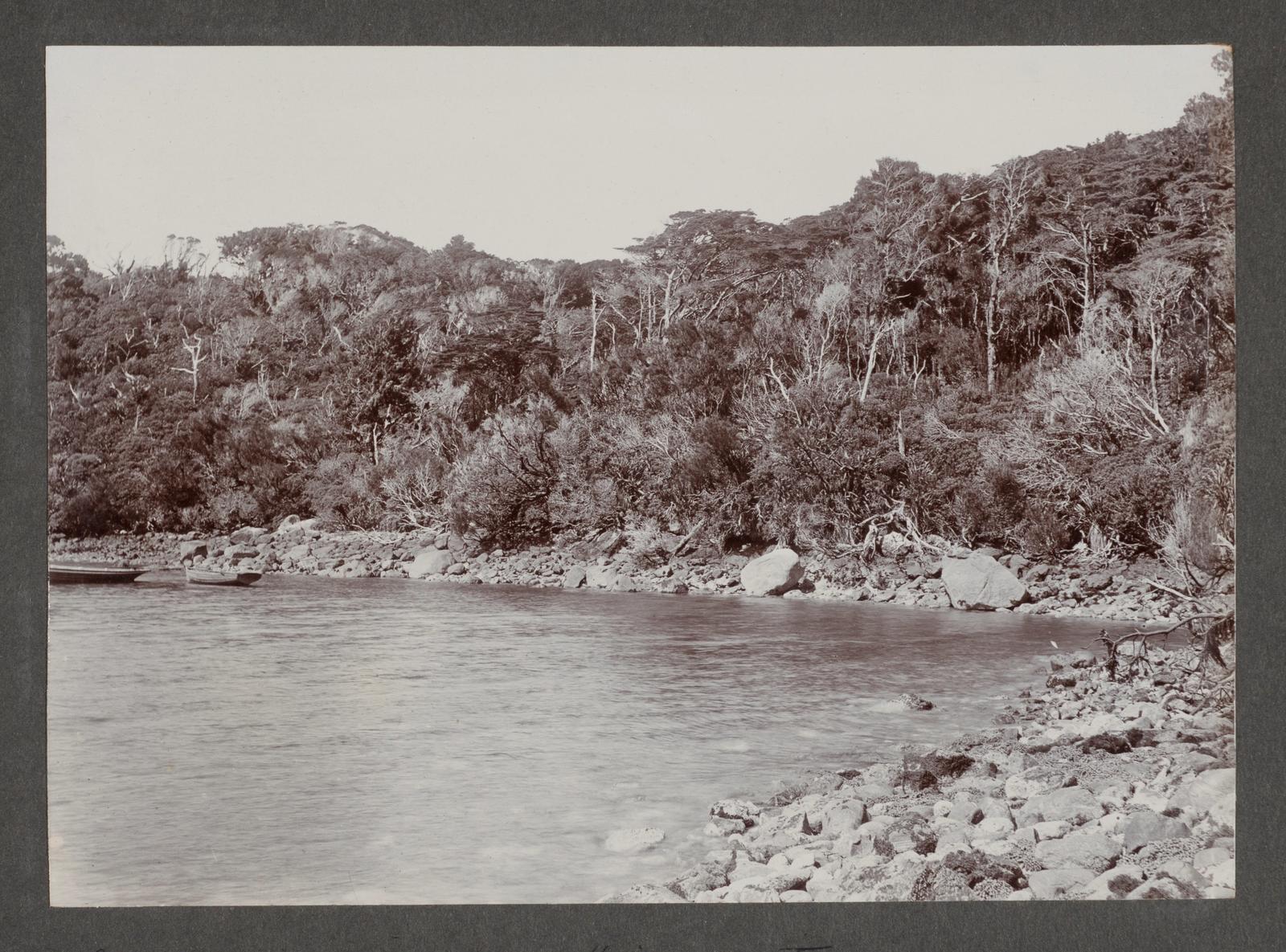 Facile Harbour; high water