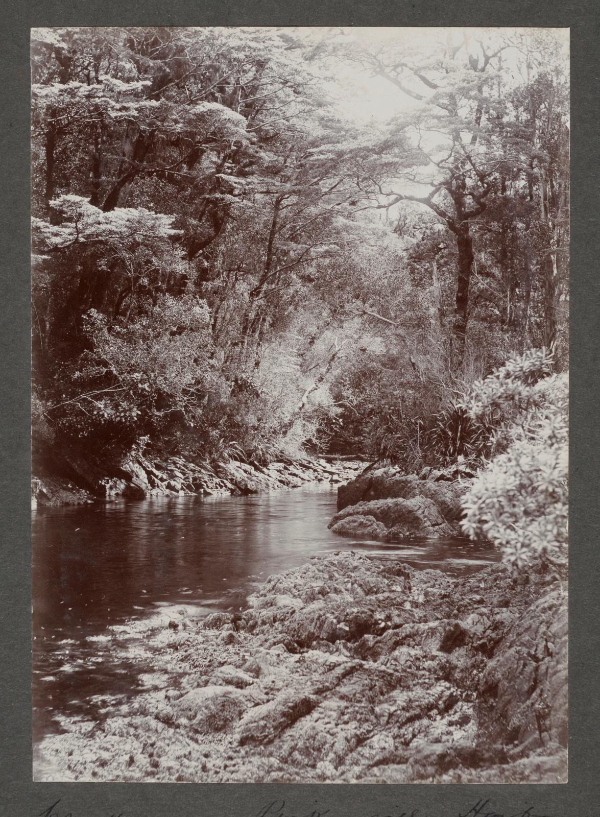 Creek, Pickersgill Harbour