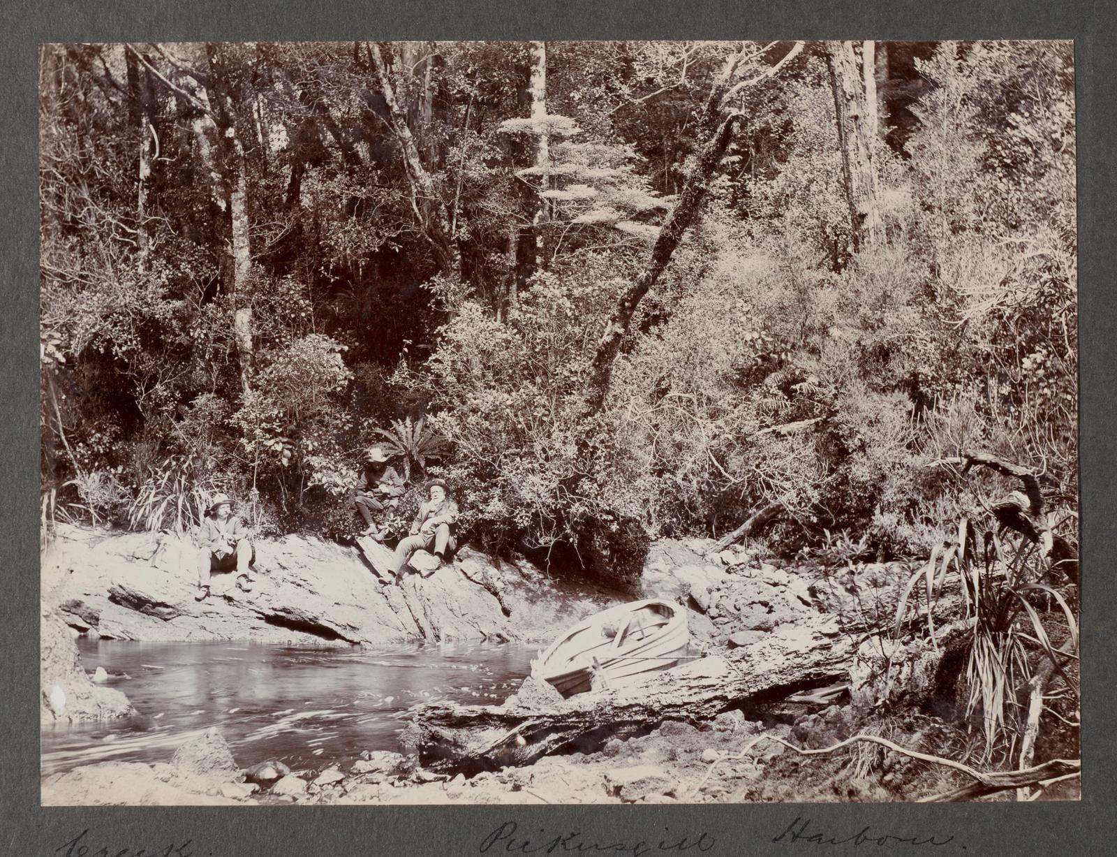 Creek, Pickersgill Harbour