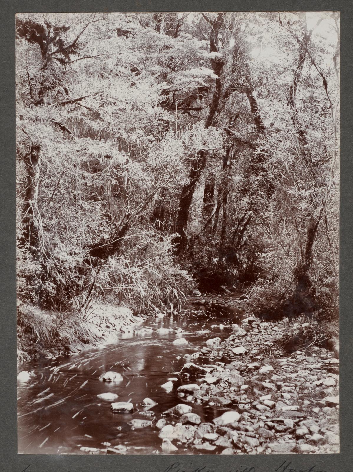 Creek, Pickersgill Harbour