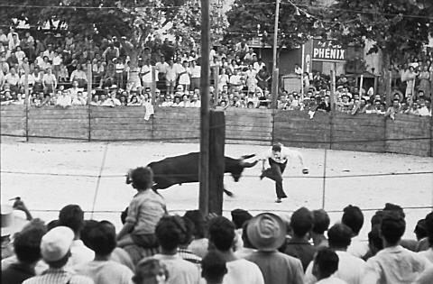 The bullfight - the Matador makes a pass
